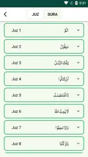 Quran Majeed screenshot 1