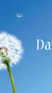 Dandelion screenshot 4