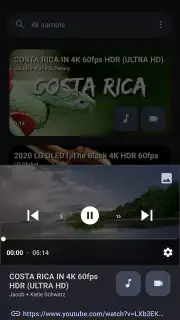 YTDLnis screenshot 12