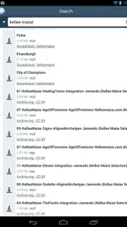 FrostWire screenshot 3