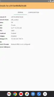 ZeroTier One screenshot 4