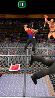 Real World Wrestling Arena screenshot 3