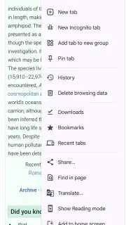 Chrome Beta screenshot 1