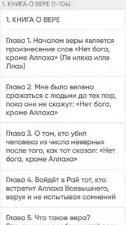 САХИХ МУСЛИМ screenshot 4