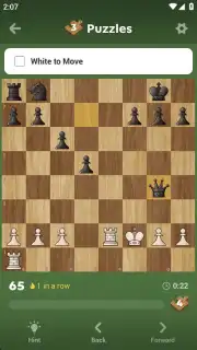 Chess - Play and Learn screenshot 9