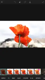 PicsArt screenshot 26