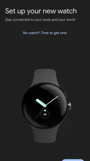 Google Pixel Watch screenshot 1