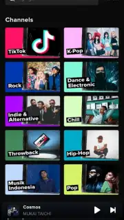 TikTok Music screenshot 3