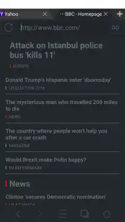 Web Browser screenshot 6