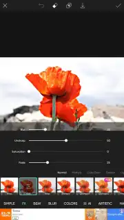 PicsArt screenshot 27