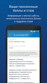 ПФР Электронные сервисы screenshot 3