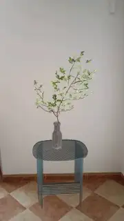 Homestyler screenshot 3