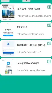 VPN Proxy Browser screenshot 3