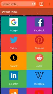 Chrom Browser screenshot 2