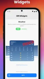 iOS Widgets screenshot 1
