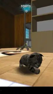 Cat Simulator screenshot 4