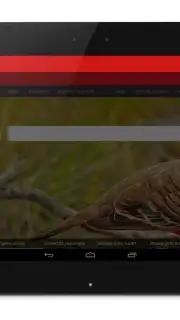Anonymous Browser screenshot 4