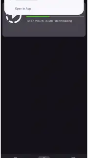 VidMad Video Downloader screenshot 4