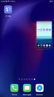 F1 VM screenshot 7
