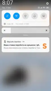 SkyLots: аукцион и маркетплейс screenshot 1