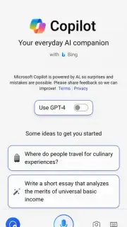 Microsoft Copilot screenshot 1