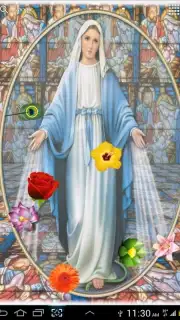 Virgin Mary screenshot 4