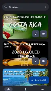 YTDLnis screenshot 1