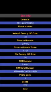 Sim Info screenshot 1