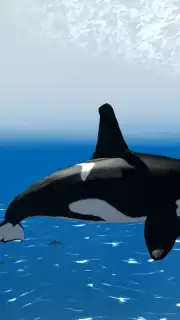 Orca Simulator screenshot 1