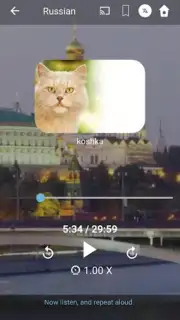 Bluebird Russian screenshot 5