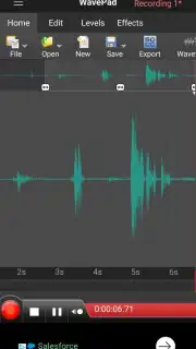 WavePad screenshot 6