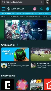 Vivaldi screenshot 12