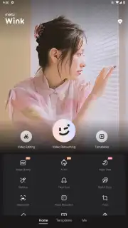 Wink screenshot 18