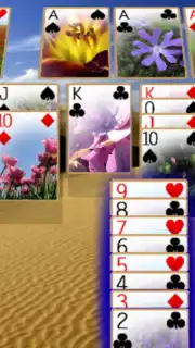 Solitaire 3D screenshot 5