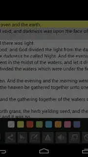 Bible Offline KJV with Audio screenshot 13