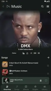 RiMusic screenshot 5