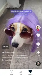 Downloader for TikTok screenshot 2