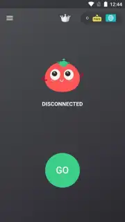 VPN Tomato screenshot 9