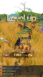 Silkroad Online screenshot 2