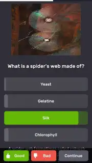 QuizzLand screenshot 2