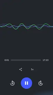 Google NotebookLM screenshot 2