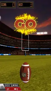 3D Flick Field Goal screenshot 5