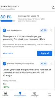Google Ads screenshot 3