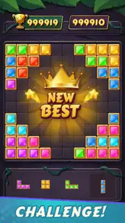 Block Puzzle screenshot 12