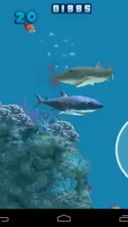 Hungry Shark 3 Free! screenshot 5