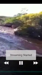 Appbloo FB Video Downloader screenshot 4