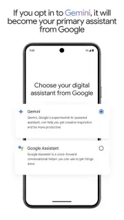 Google Gemini screenshot 7