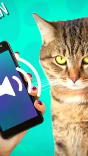 Кошачий Переводчик screenshot 1