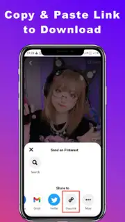 Downloader for Pinterest screenshot 4
