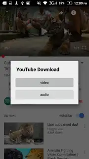 YouTube Download screenshot 2
